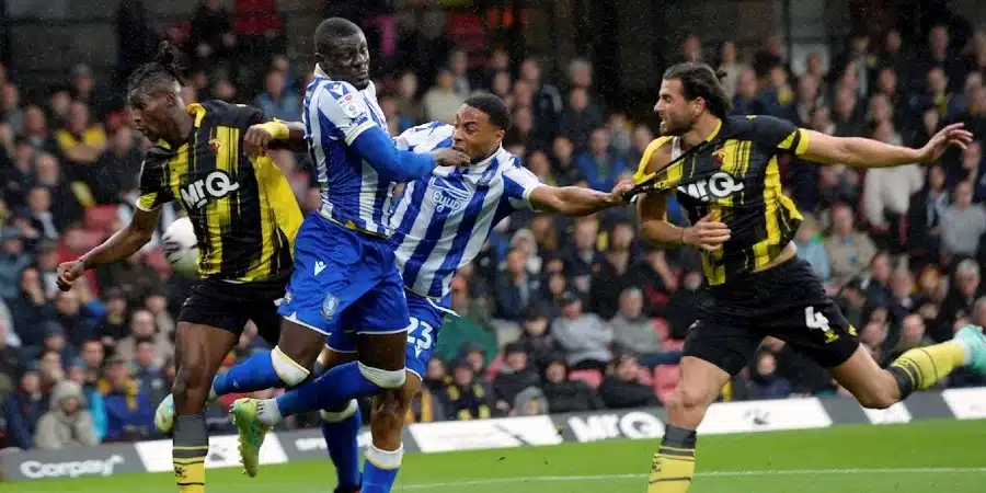 Sheffield Wednesday Vs Watford Prediction 31 1 2024